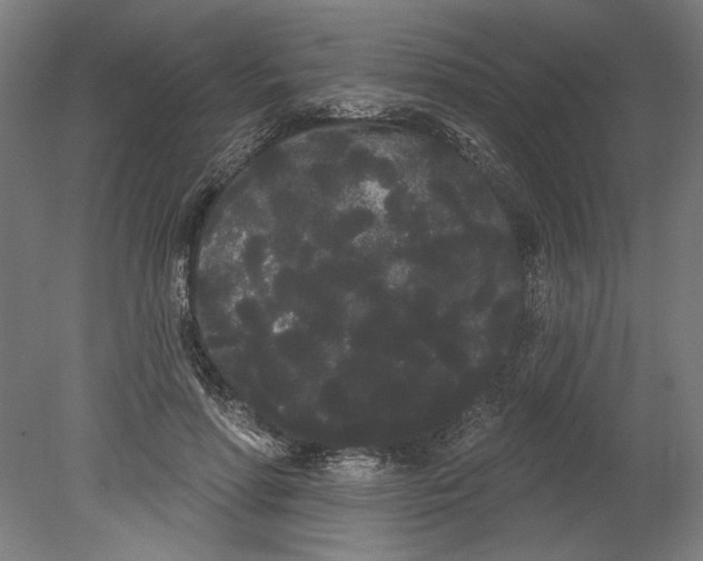 X0000080670598200701051010