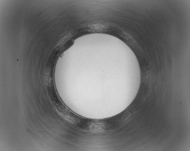 X0000080670599200701051010