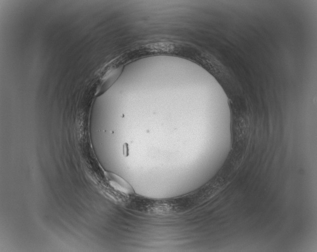 X0000080670600200701051010