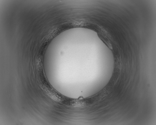 X0000080670601200701051010