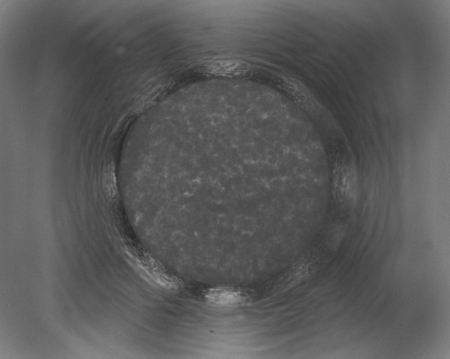 X0000080670602200701051010