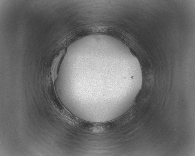 X0000080670604200701051010