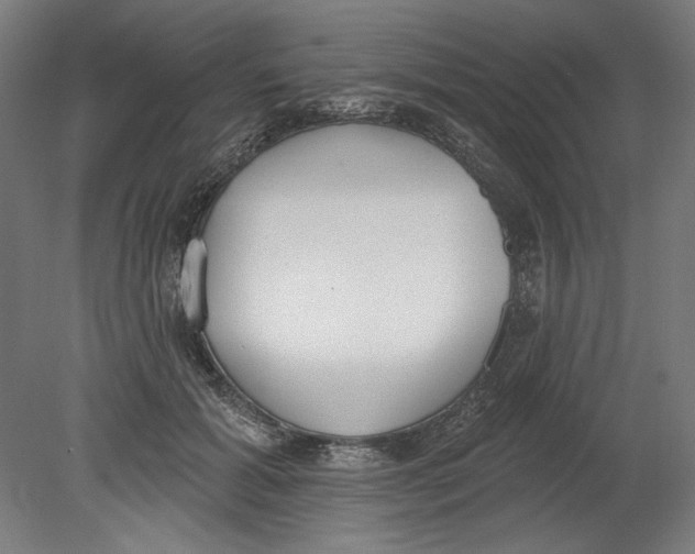 X0000080670605200701051010