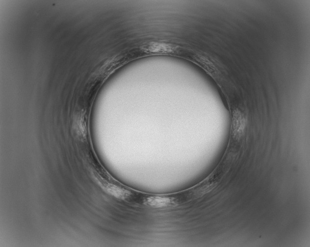 X0000080670607200701051010