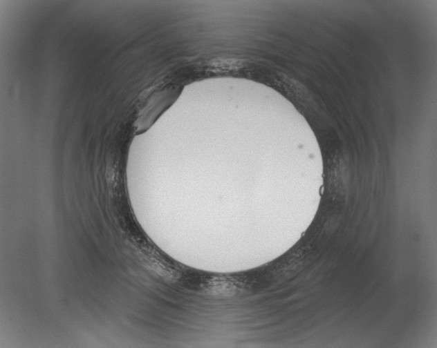 X0000080670608200701051010