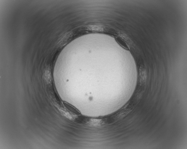 X0000080670609200701051010