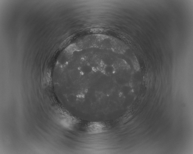 X0000080670610200701051010