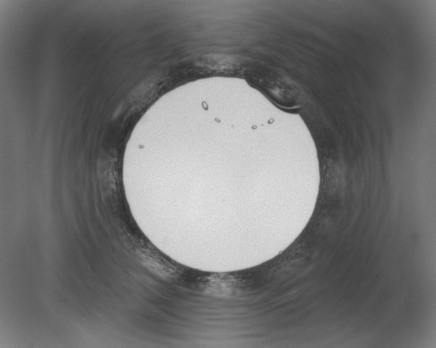 X0000080670612200701051010