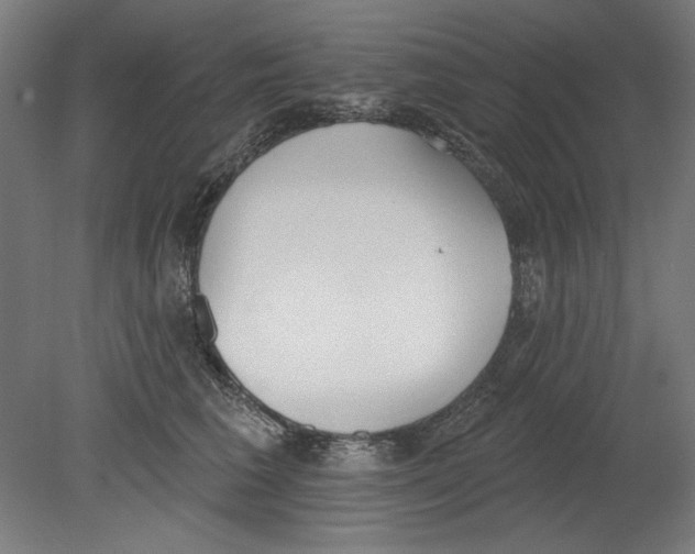 X0000080670613200701051010