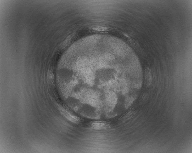 X0000080670614200701051010