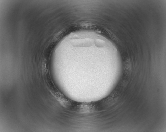 X0000080670615200701051010