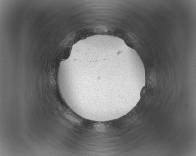 X0000080670616200701051010