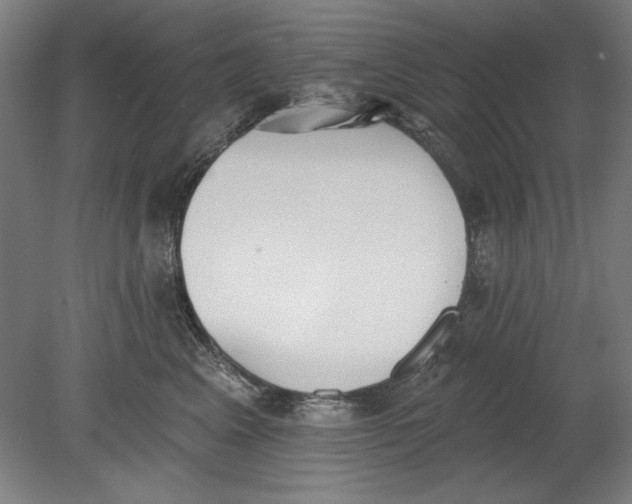 X0000080670617200701051010