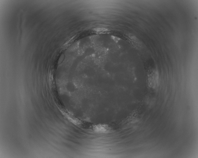 X0000080670618200701051010