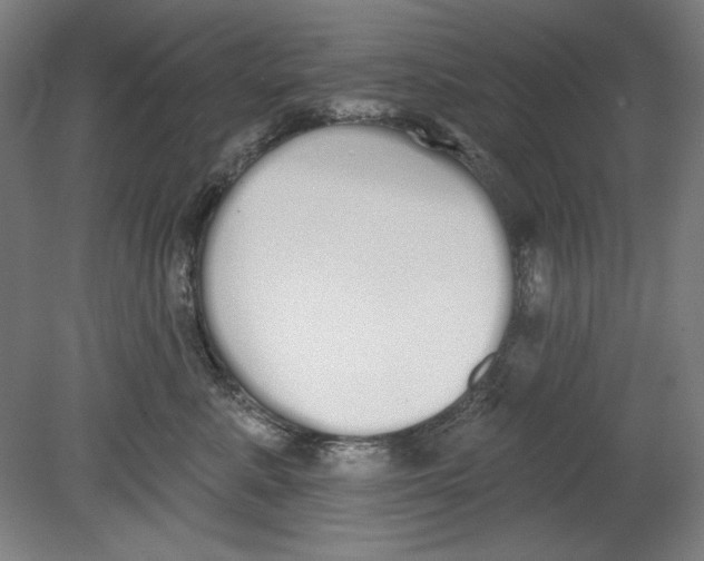 X0000080670619200701051010