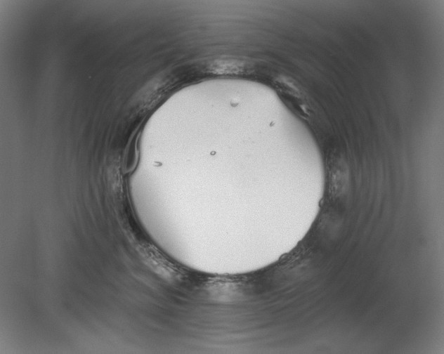 X0000080670620200701051010