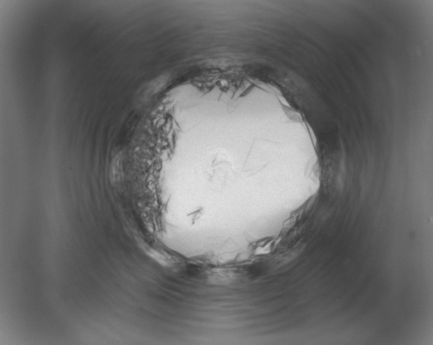 X0000080670623200701051010