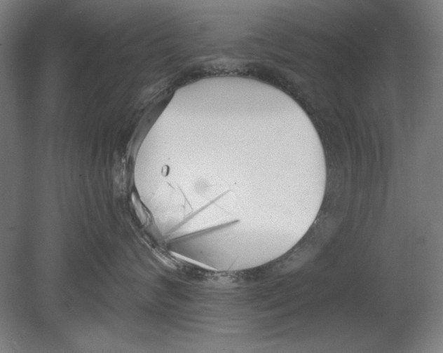 X0000080670624200701051010