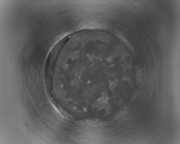 X0000080670626200701051009