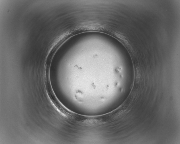 X0000080670630200701051009