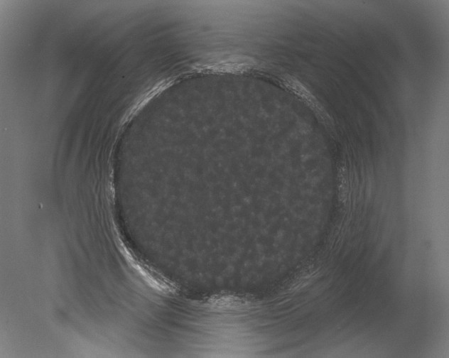 X0000080670634200701051009