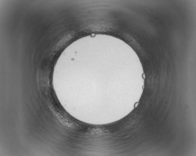 X0000080670635200701051009