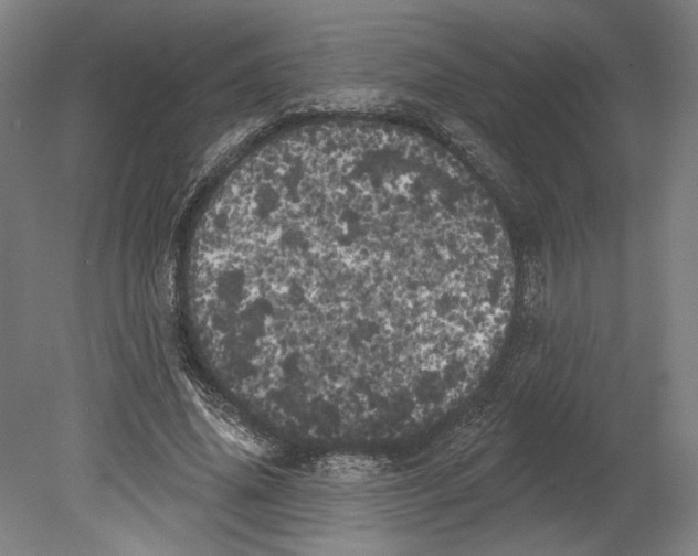 X0000080670636200701051009