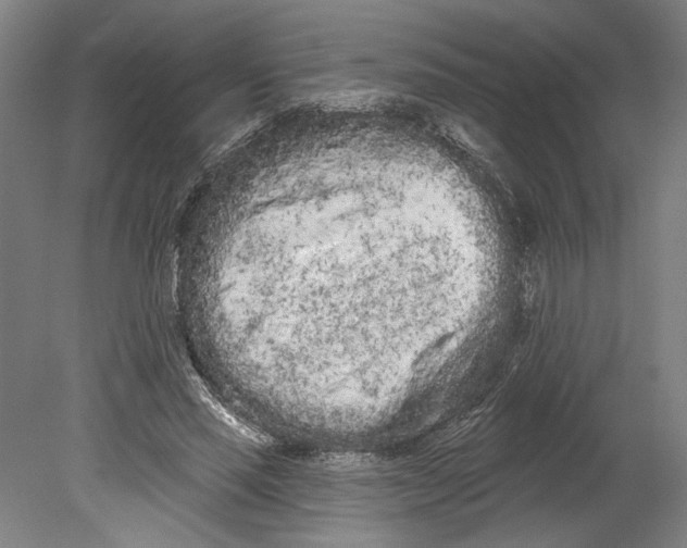 X0000080670637200701051009