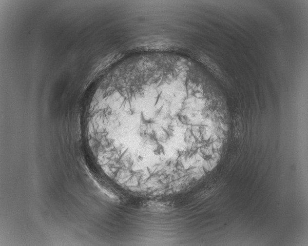 X0000080670638200701051009