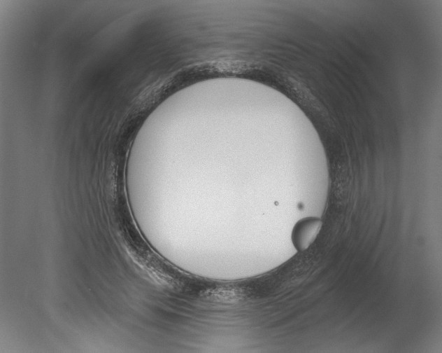 X0000080670639200701051009