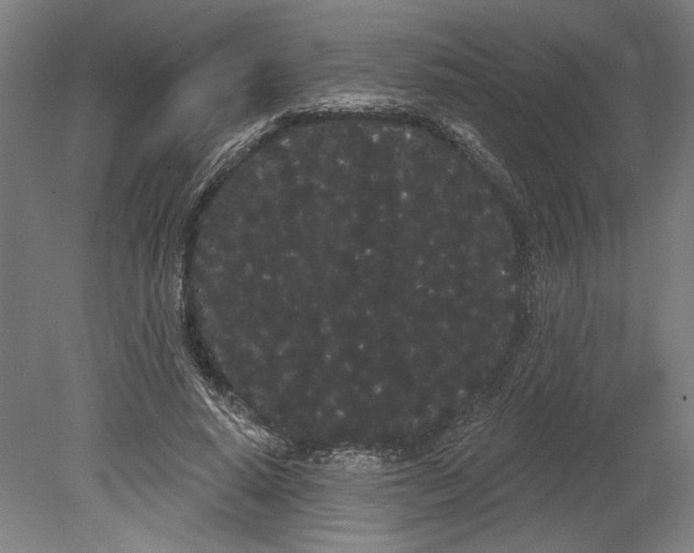 X0000080670640200701051009