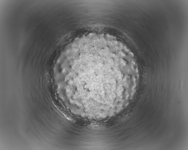 X0000080670641200701051009