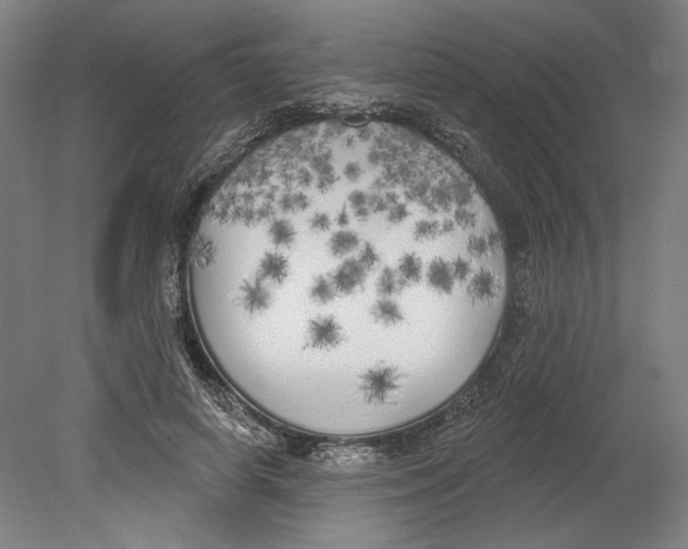 X0000080670642200701051009