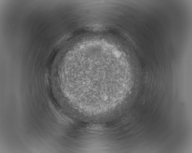 X0000080670643200701051009