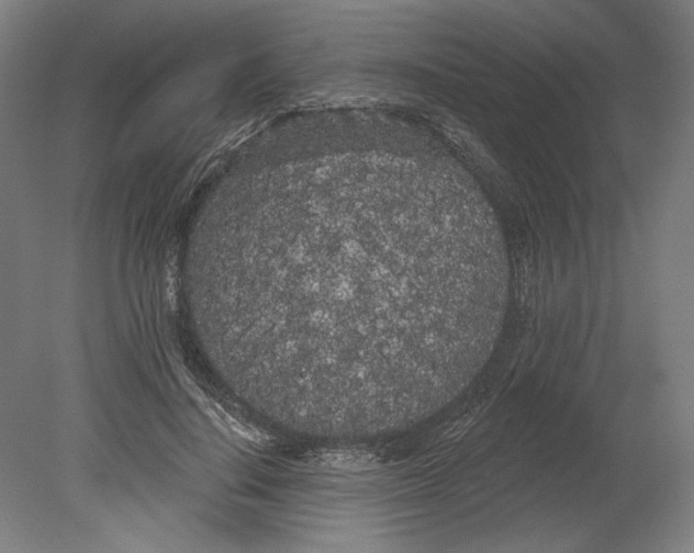 X0000080670644200701051009