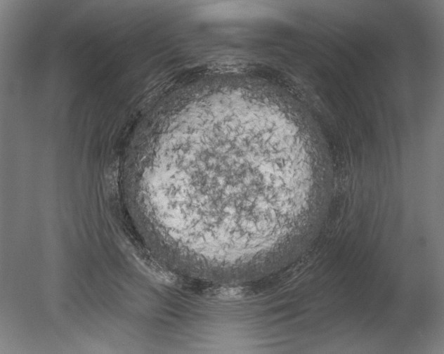 X0000080670647200701051009