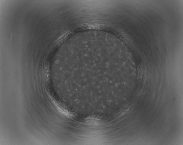 X0000080670648200701051009