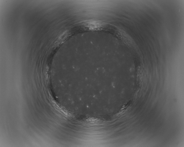 X0000080670650200701051009