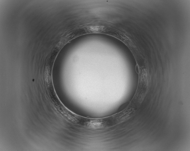 X0000080670651200701051009