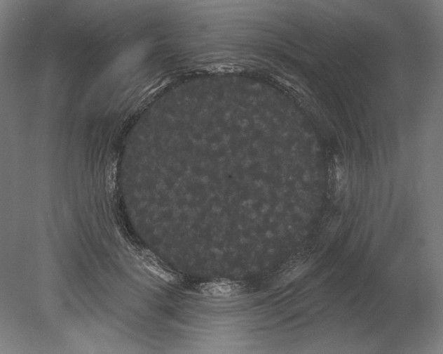 X0000080670652200701051009