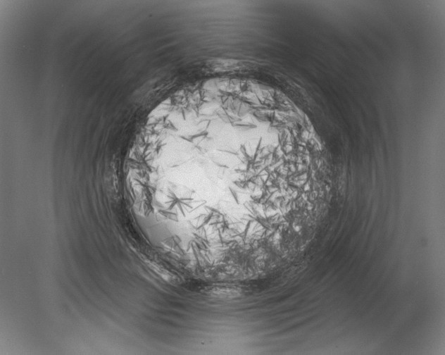 X0000080670653200701051009