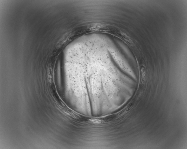 X0000080670654200701051009