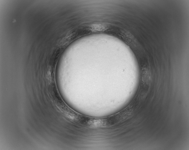 X0000080670655200701051009