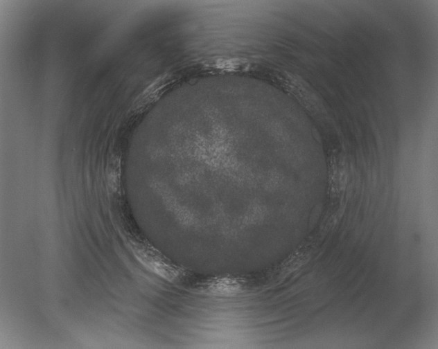 X0000080670656200701051009