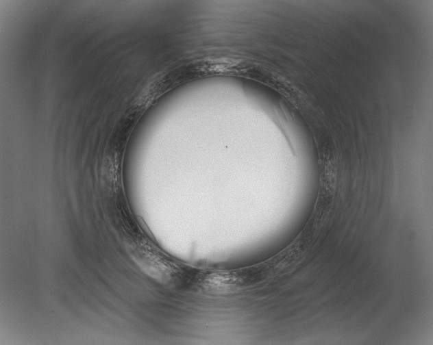 X0000080670657200701051010