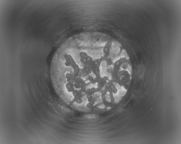 X0000080670659200701051010