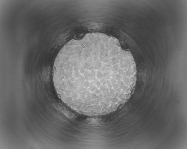 X0000080670660200701051010