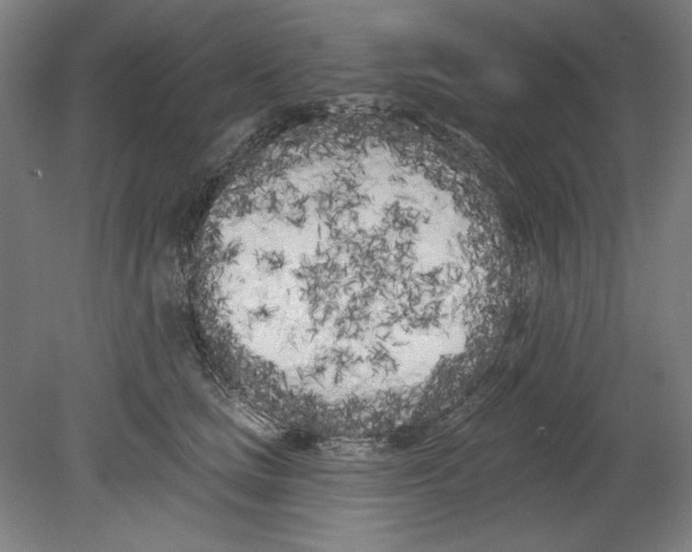 X0000080670661200701051010