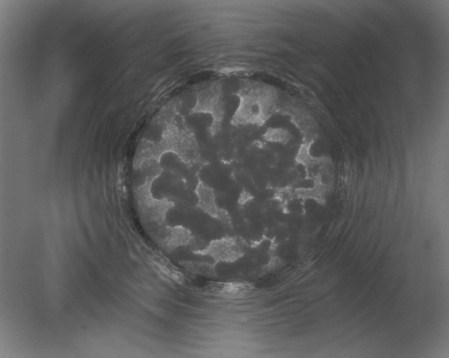 X0000080670663200701051010