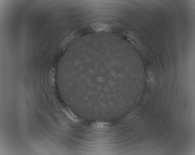 X0000080670664200701051010